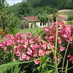 Accueillant A Avec Jardin