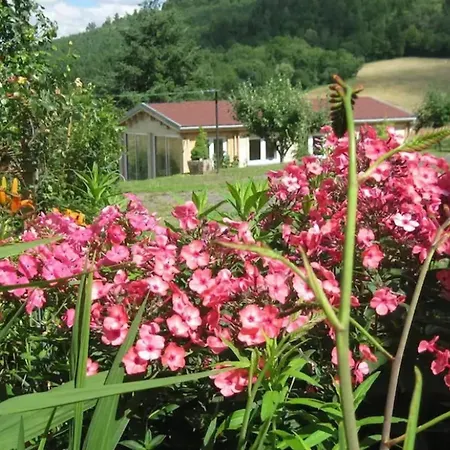 Accueillant A Avec Jardin