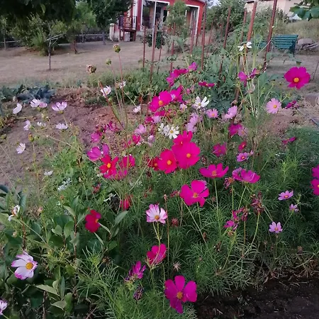 Accueillant A Avec Jardin Chalet *